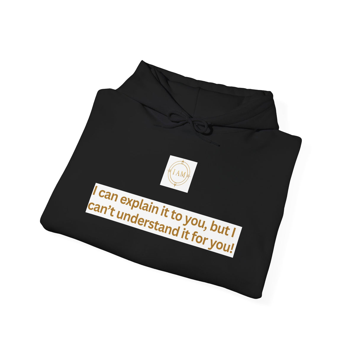Hoodie — "I can explain it to you, but I can't understand it for you" Minimal Statement Pullover