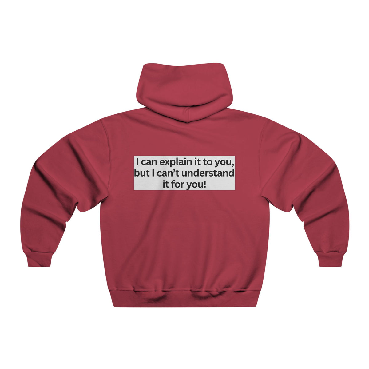 Hoodie — "I can explain it to you, but I can’t understand it for you" minimalist graphic pullover