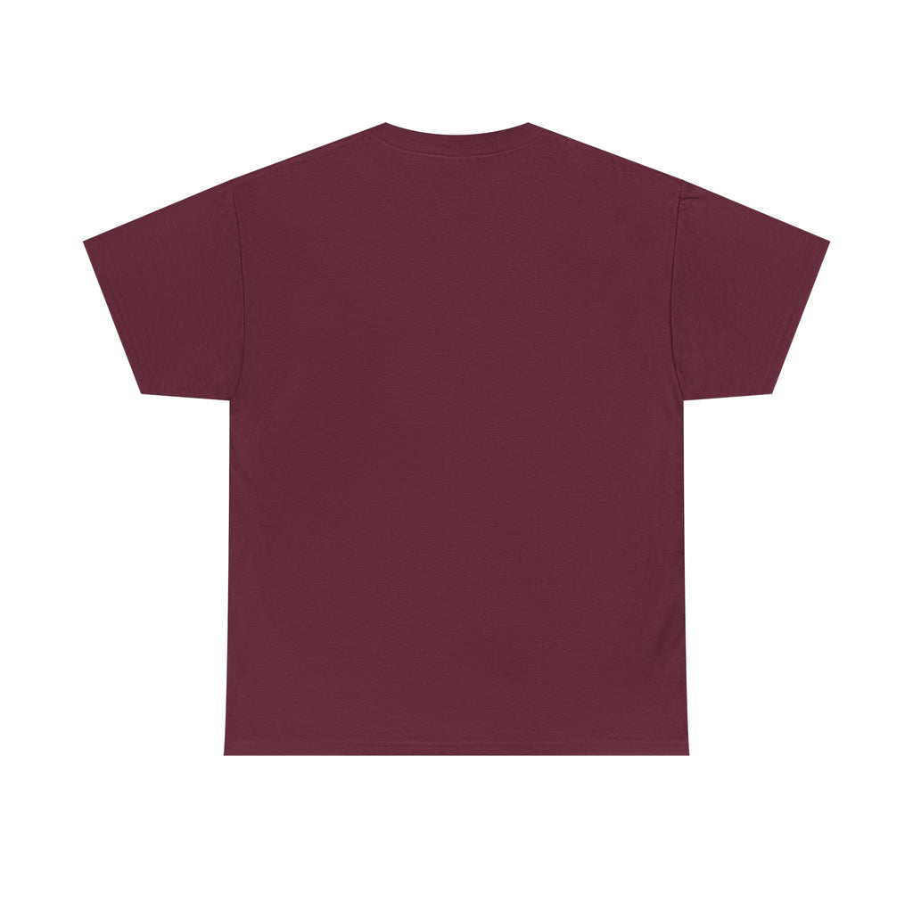 T-Shirt — “These Facts Give It Away… Or Do They?” Infographic Tee