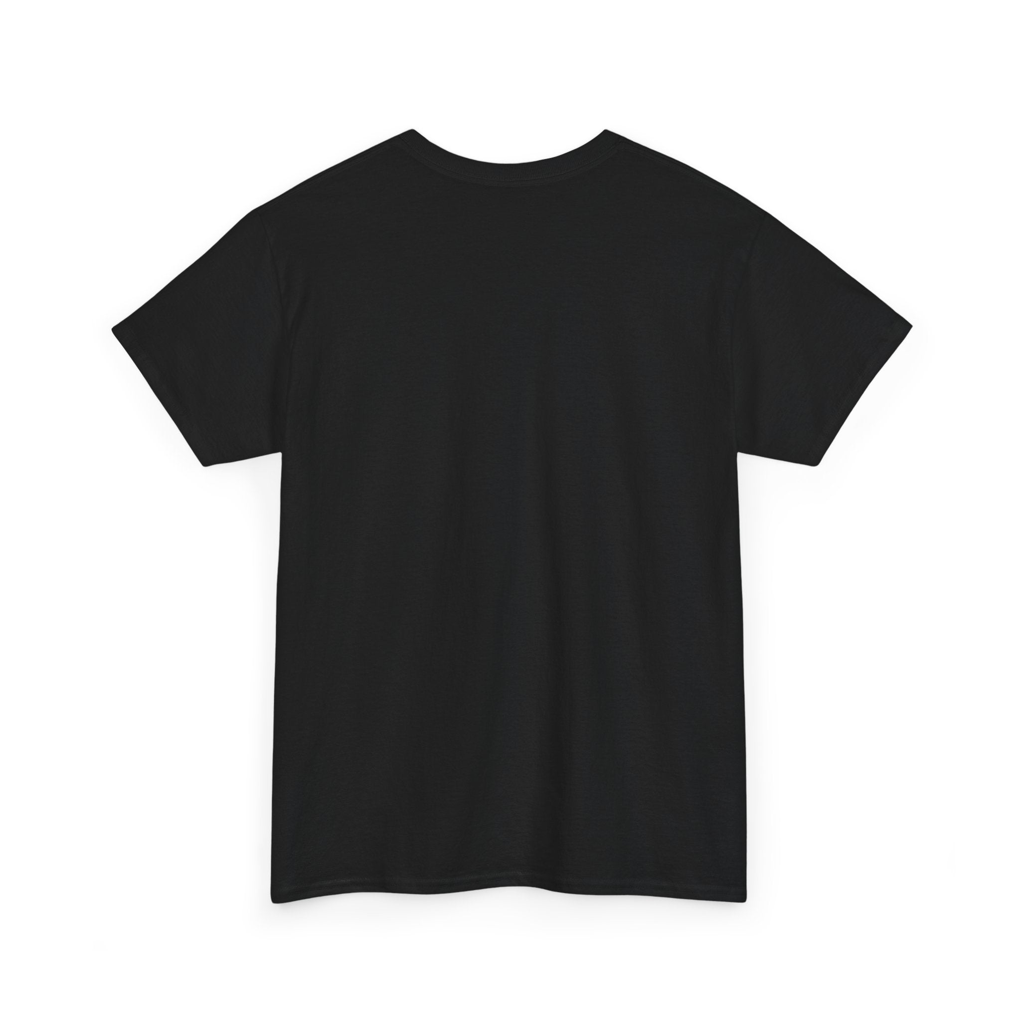 T-Shirt — “These Facts Give It Away… Or Do They?” Infographic Tee