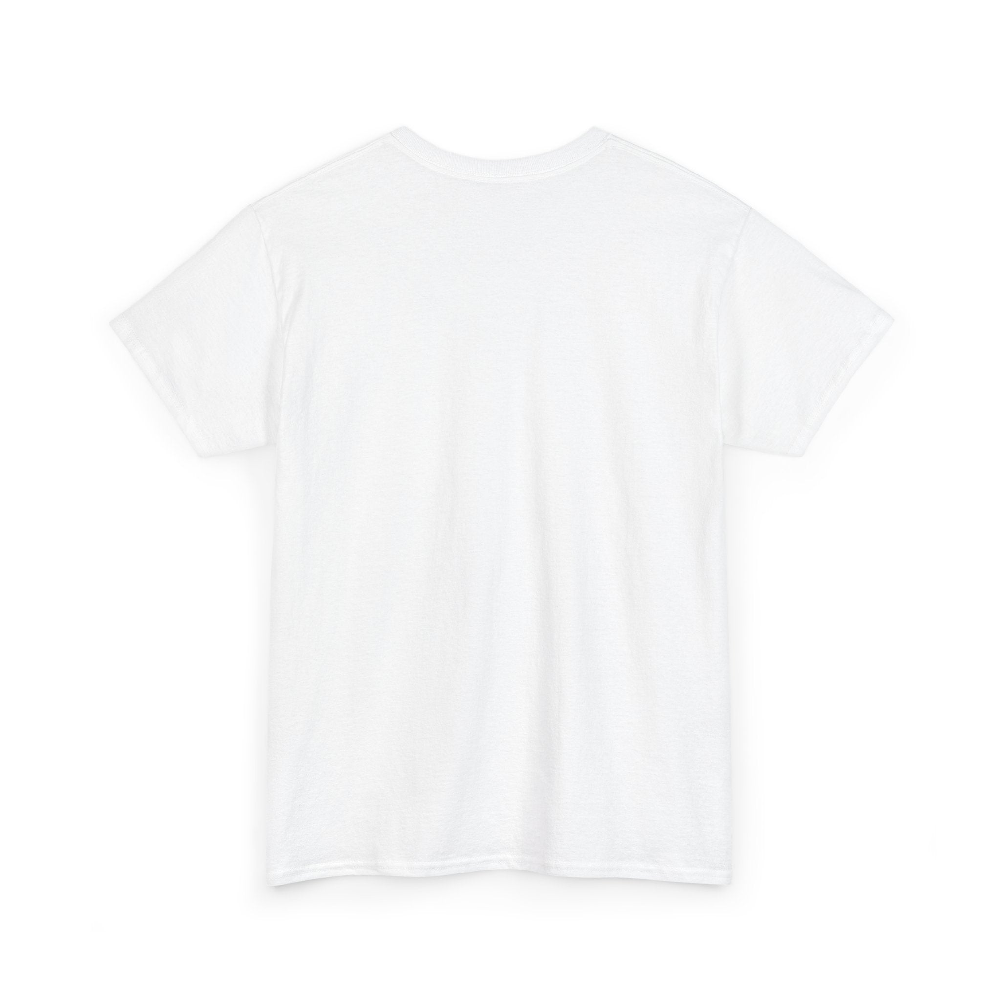 T-Shirt — “These Facts Give It Away… Or Do They?” Infographic Tee