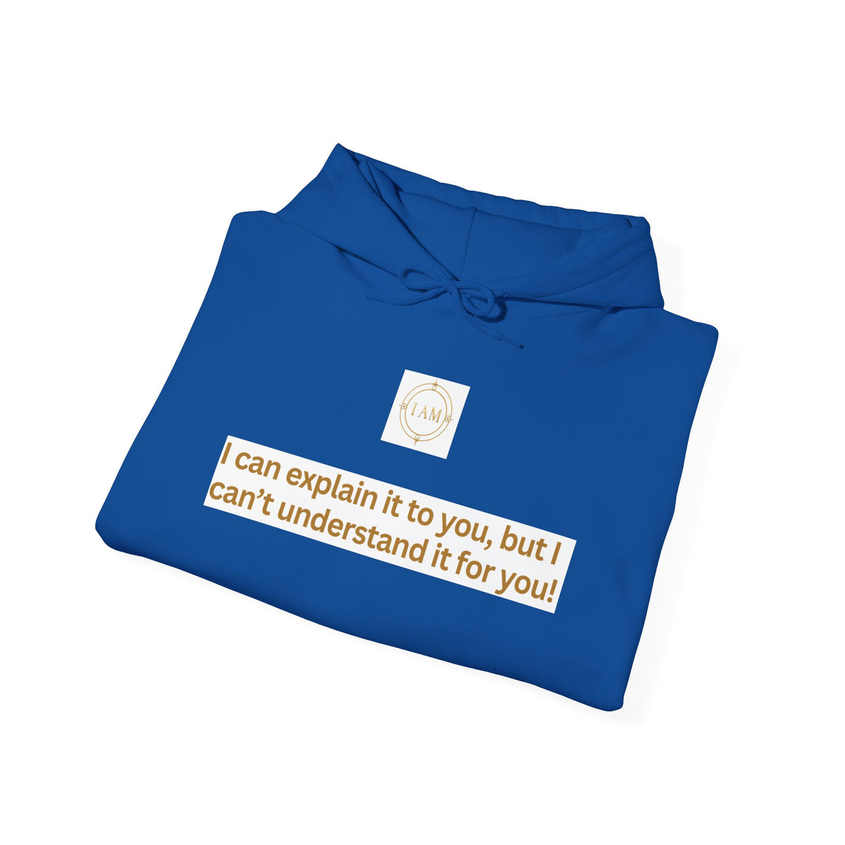 Hoodie — "I can explain it to you, but I can't understand it for you" Minimal Statement Pullover