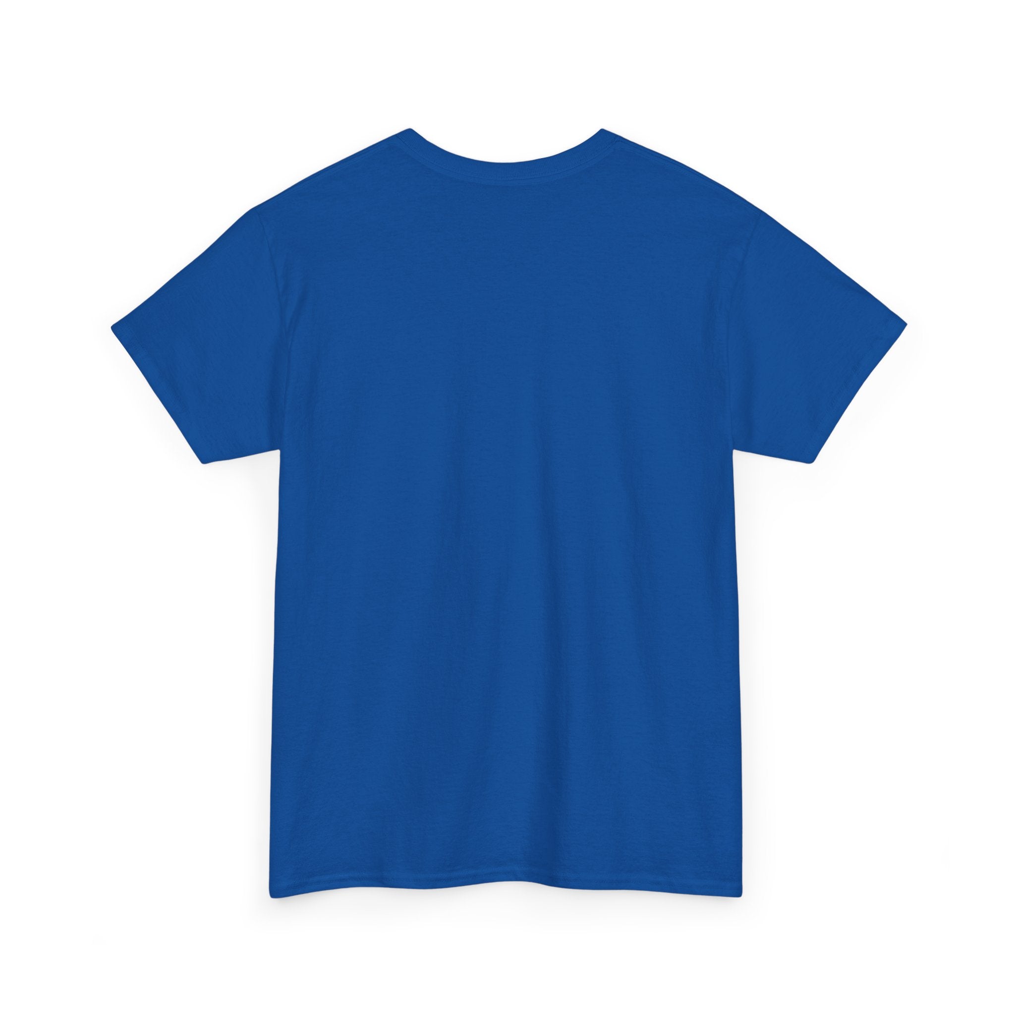 T-Shirt — “These Facts Give It Away… Or Do They?” Infographic Tee