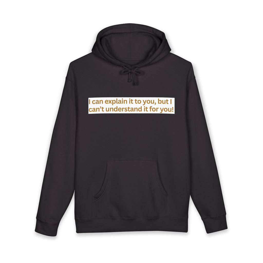 Hoodie — “I can explain it to you, but I can’t understand it for you” Motivational Graphic Hoodie