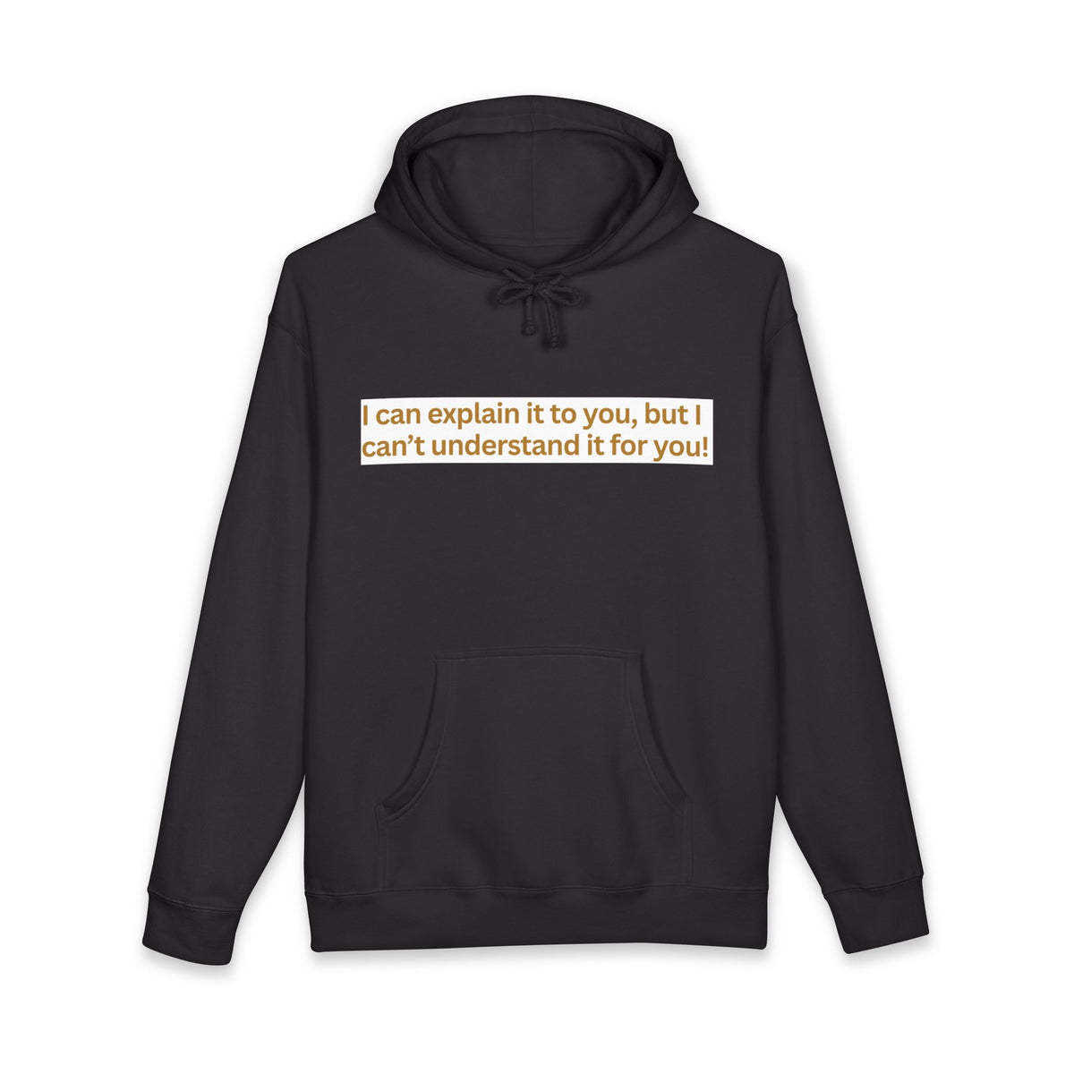 Hoodie — “I can explain it to you, but I can’t understand it for you” Motivational Graphic Hoodie