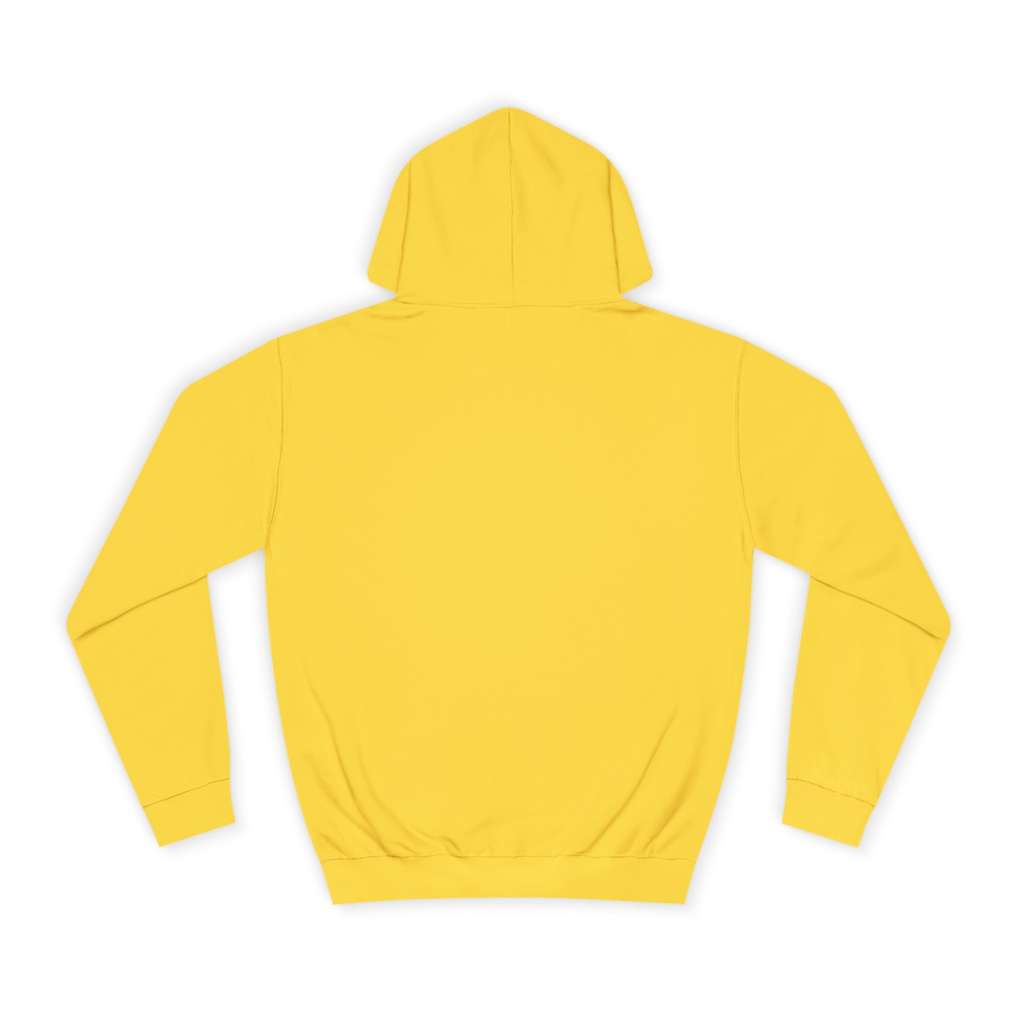 College Hoodie — 'These Facts Give It Away... Or Do They?' Graphic Pullover