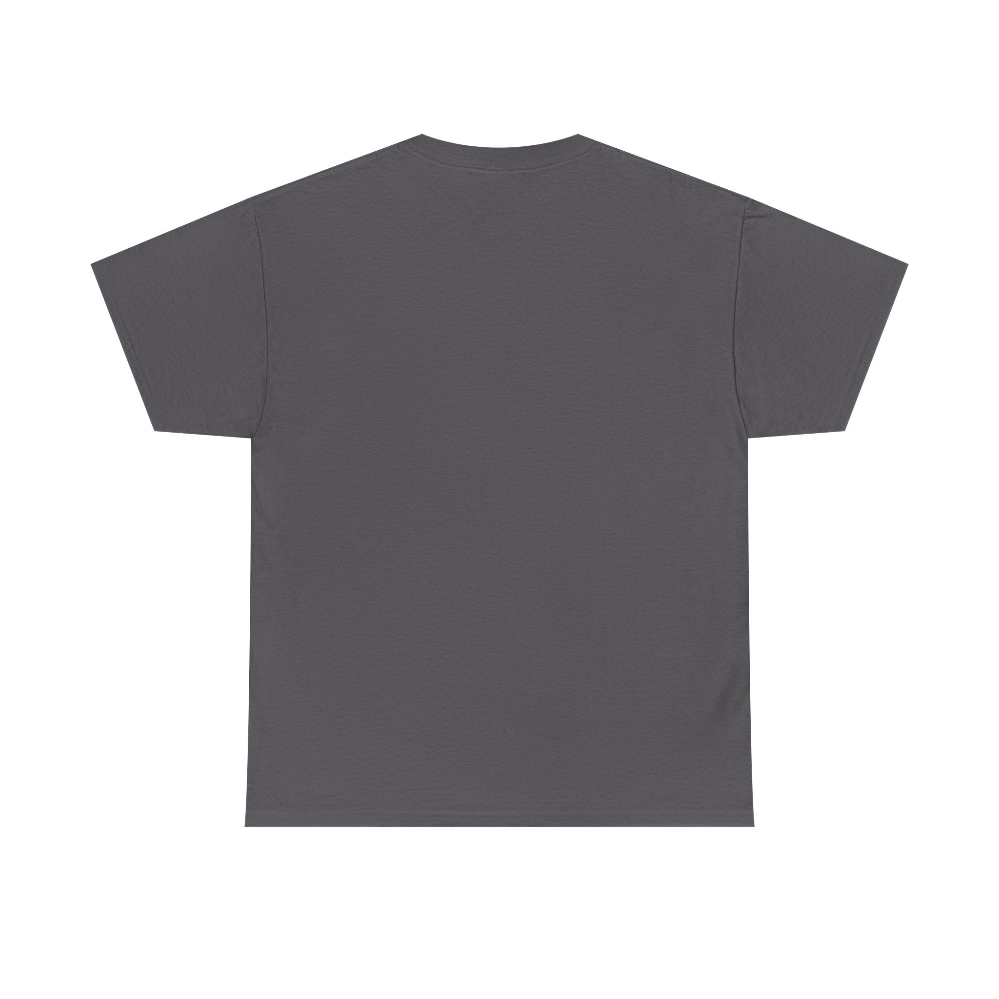 T-Shirt — “These Facts Give It Away… Or Do They?” Infographic Tee