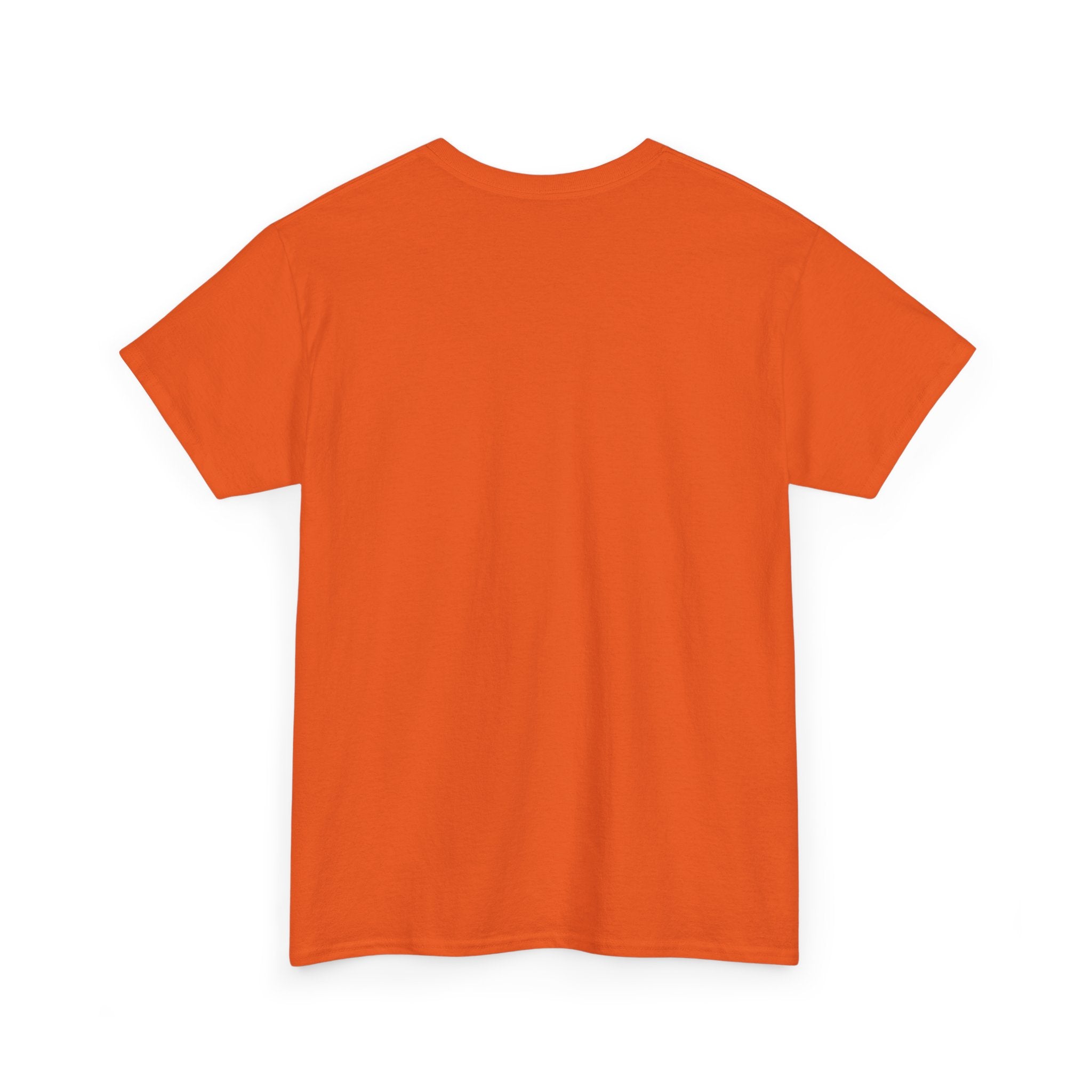 T-Shirt — “These Facts Give It Away… Or Do They?” Infographic Tee