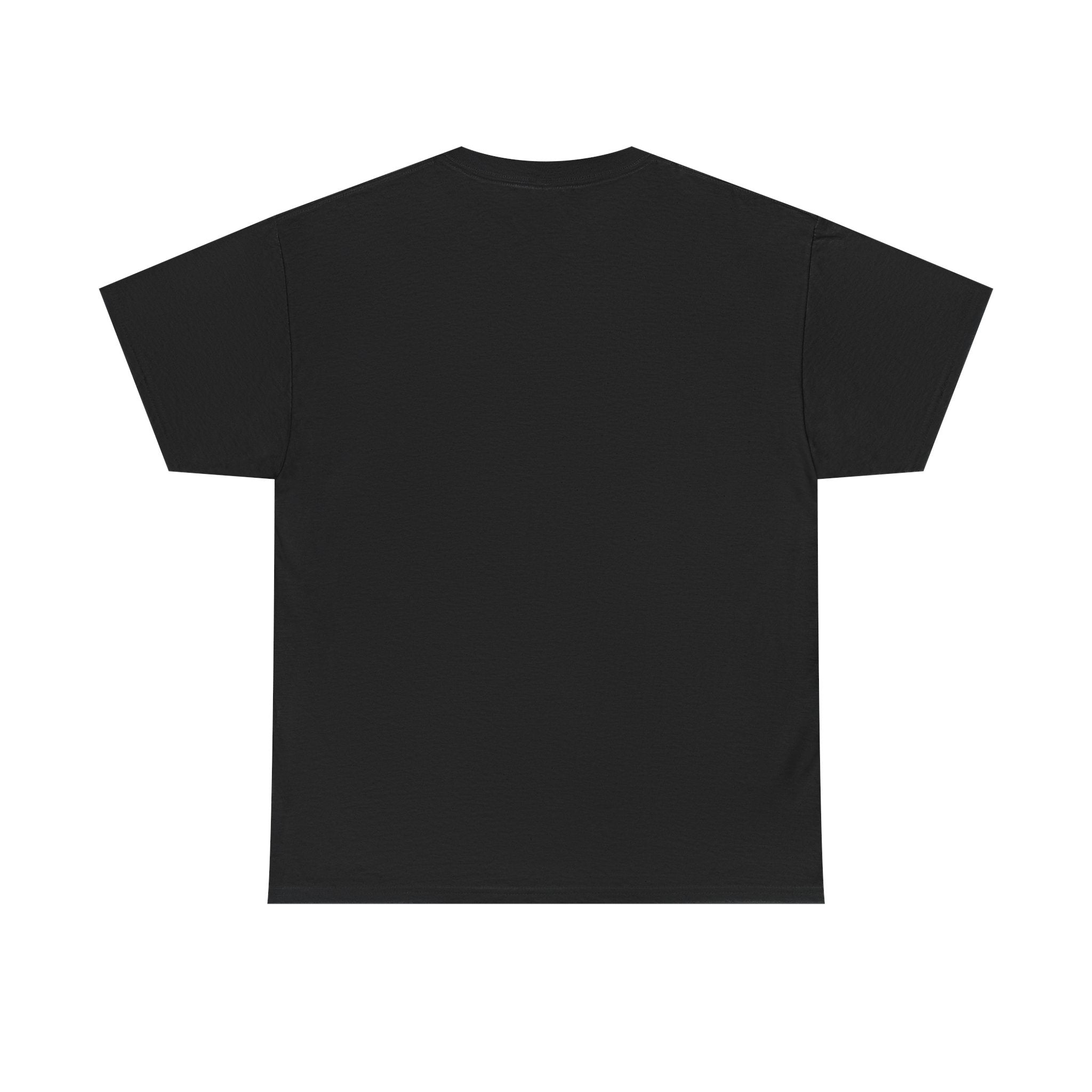 T-Shirt — “These Facts Give It Away… Or Do They?” Infographic Tee