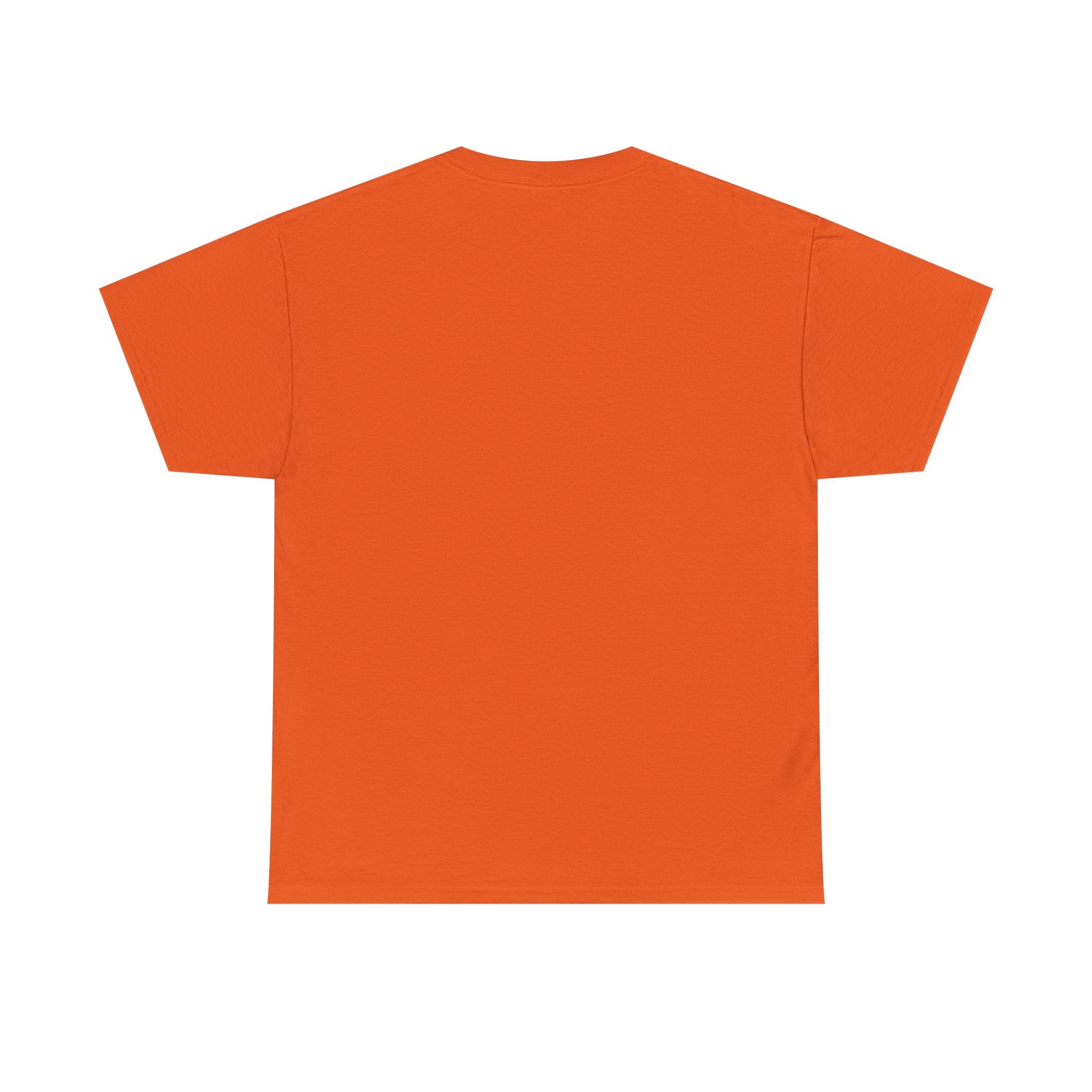 T-Shirt — “These Facts Give It Away… Or Do They?” Infographic Tee