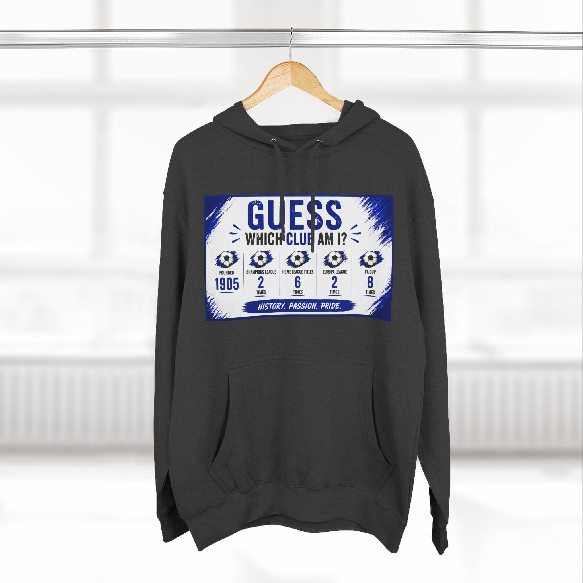 Three-Panel Fleece Hoodie