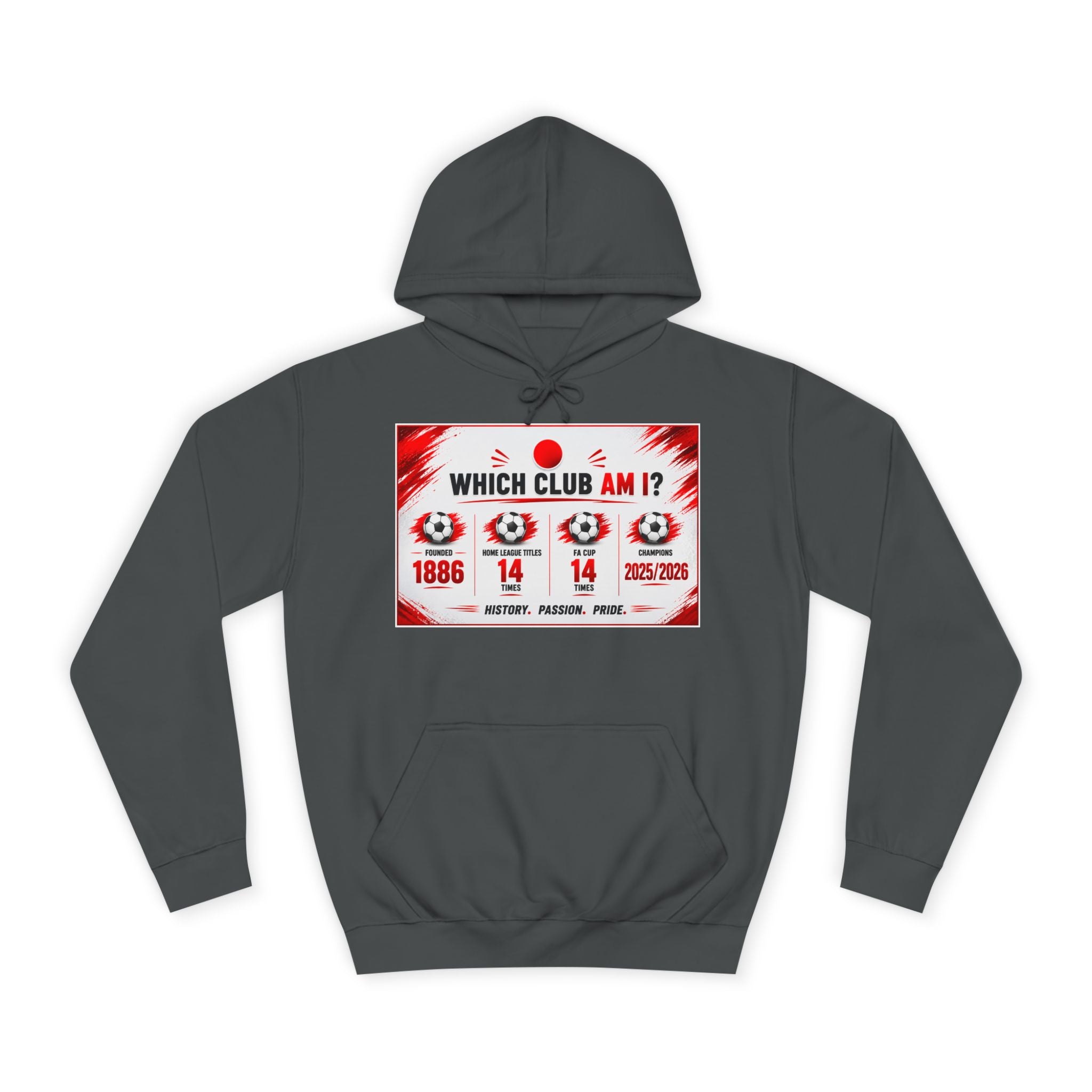 College Hoodie — "Which Club Am I?" Graphic Student Spirit Sweatshirt