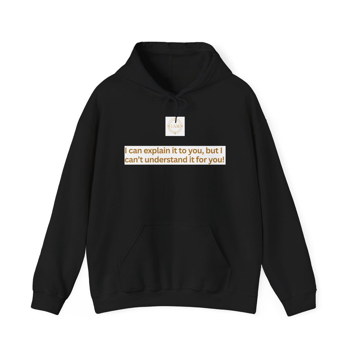 Hoodie — "I can explain it to you, but I can't understand it for you" Minimal Statement Pullover