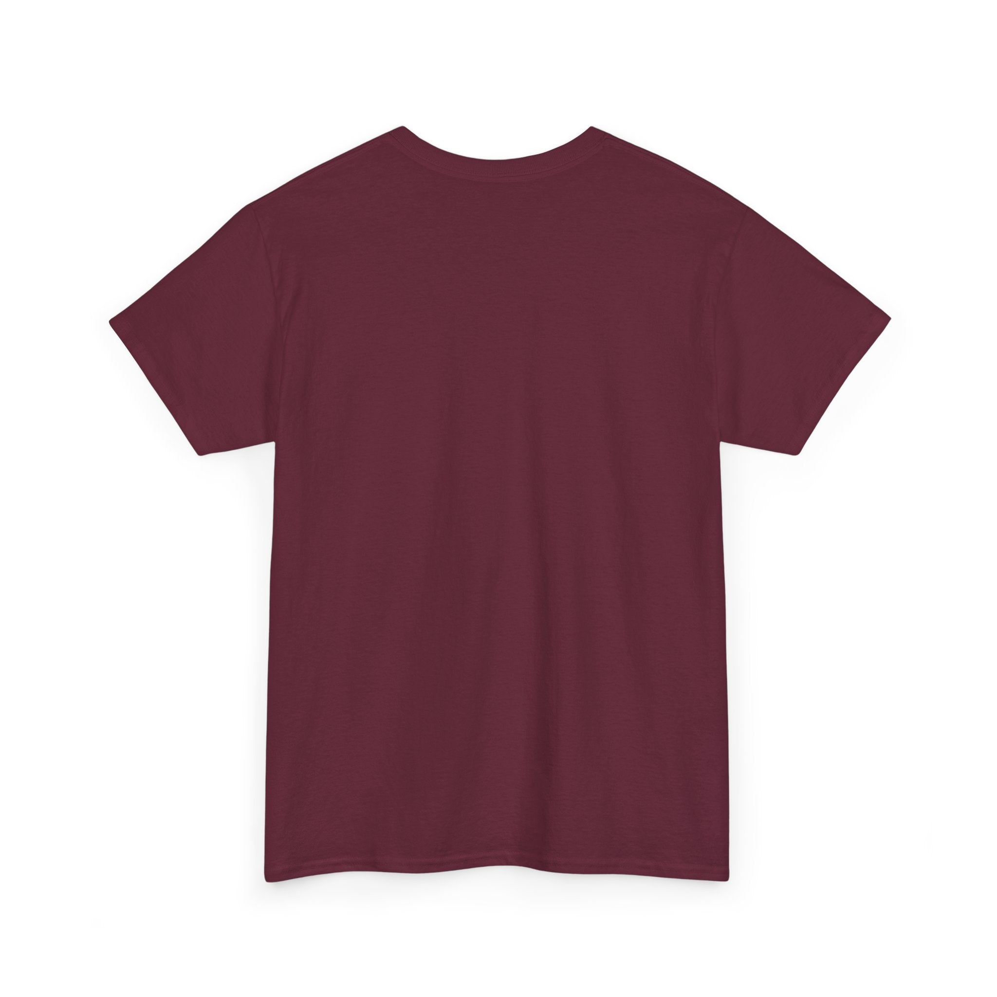 T-Shirt — “These Facts Give It Away… Or Do They?” Infographic Tee
