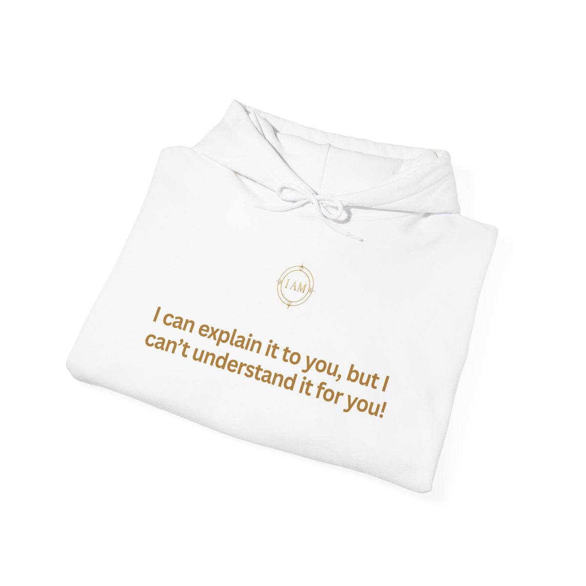 Hoodie — "I can explain it to you, but I can't understand it for you" Minimal Statement Pullover