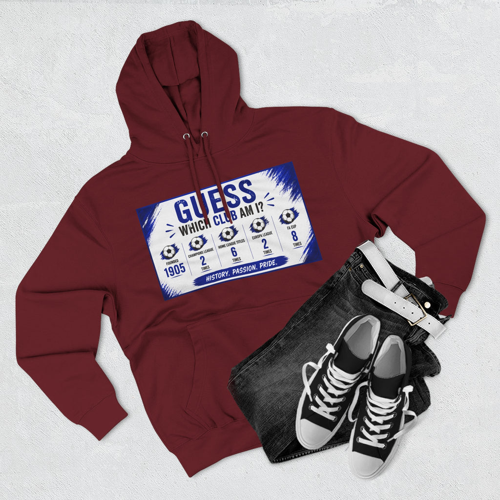 Three-Panel Fleece Hoodie