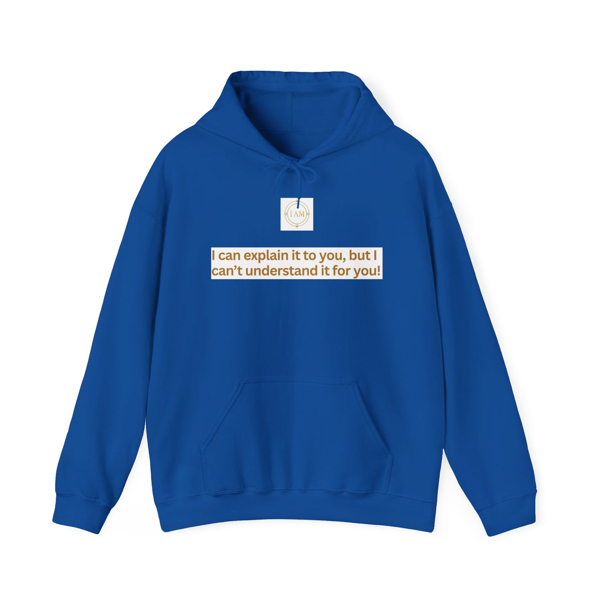 Hoodie — "I can explain it to you, but I can't understand it for you" Minimal Statement Pullover
