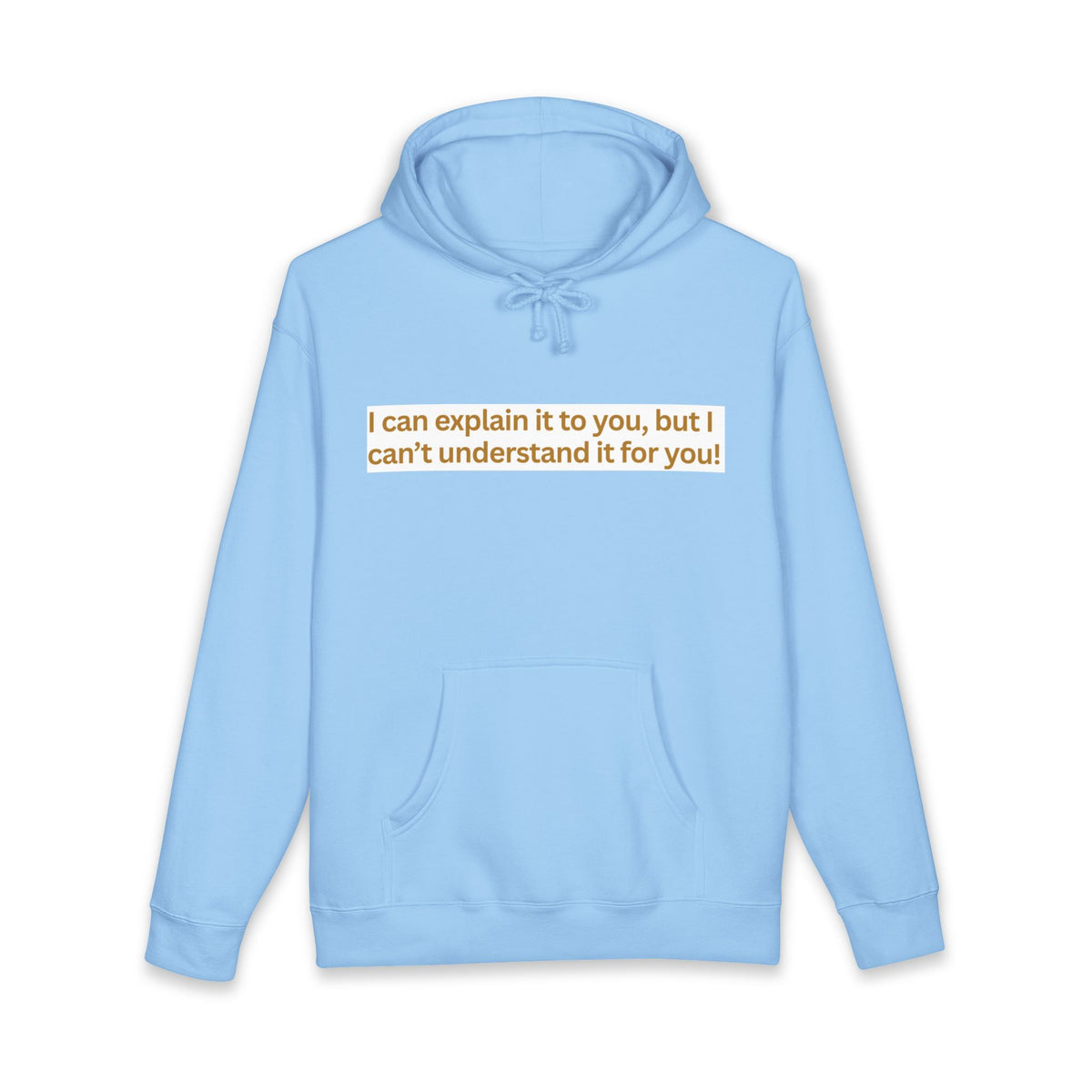 Hoodie — “I can explain it to you, but I can’t understand it for you” Motivational Graphic Hoodie
