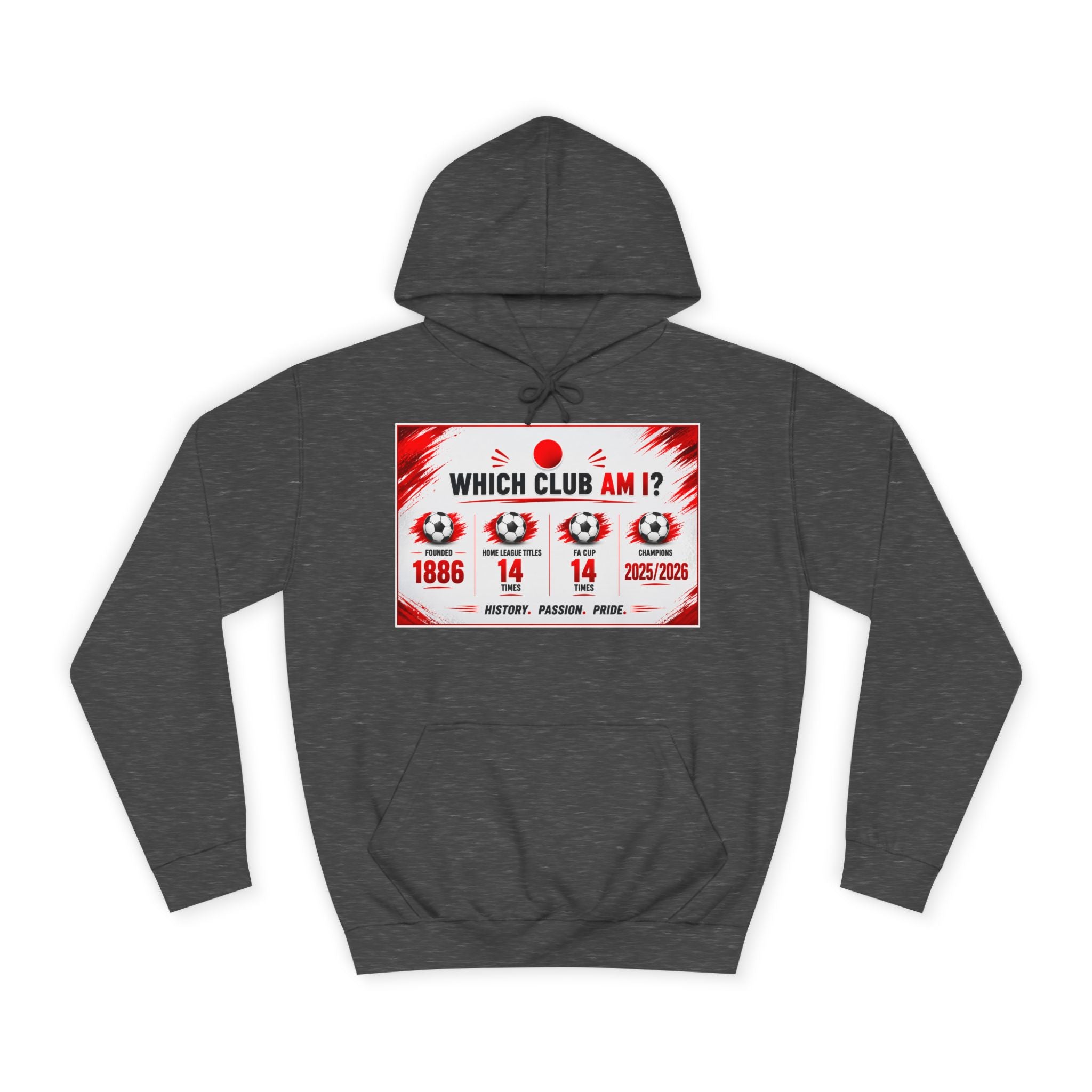 College Hoodie — "Which Club Am I?" Graphic Student Spirit Sweatshirt
