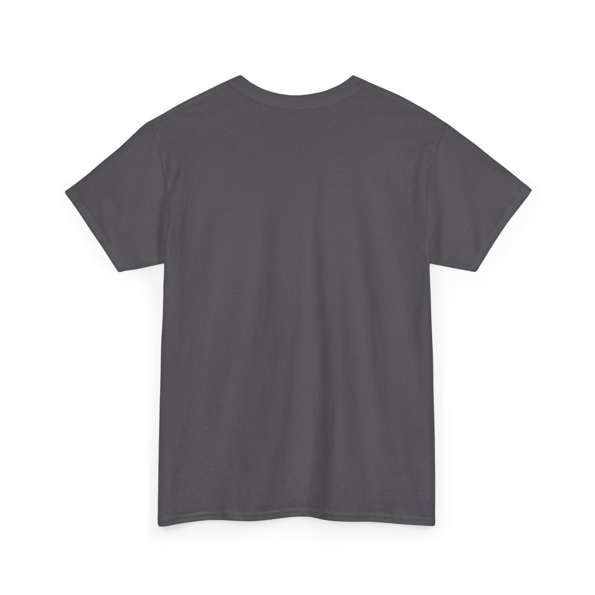 T-Shirt — “These Facts Give It Away… Or Do They?” Infographic Tee