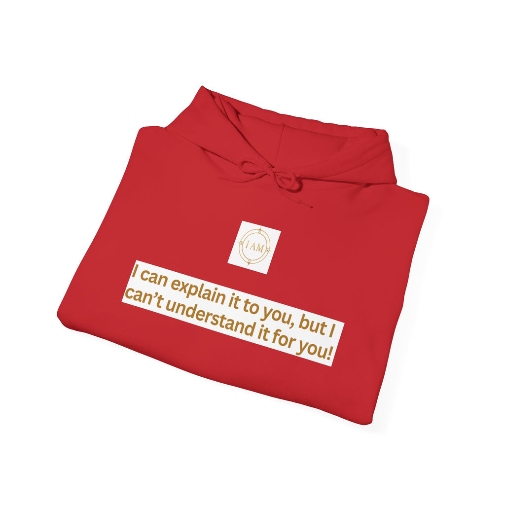 Hoodie — "I can explain it to you, but I can't understand it for you" Minimal Statement Pullover