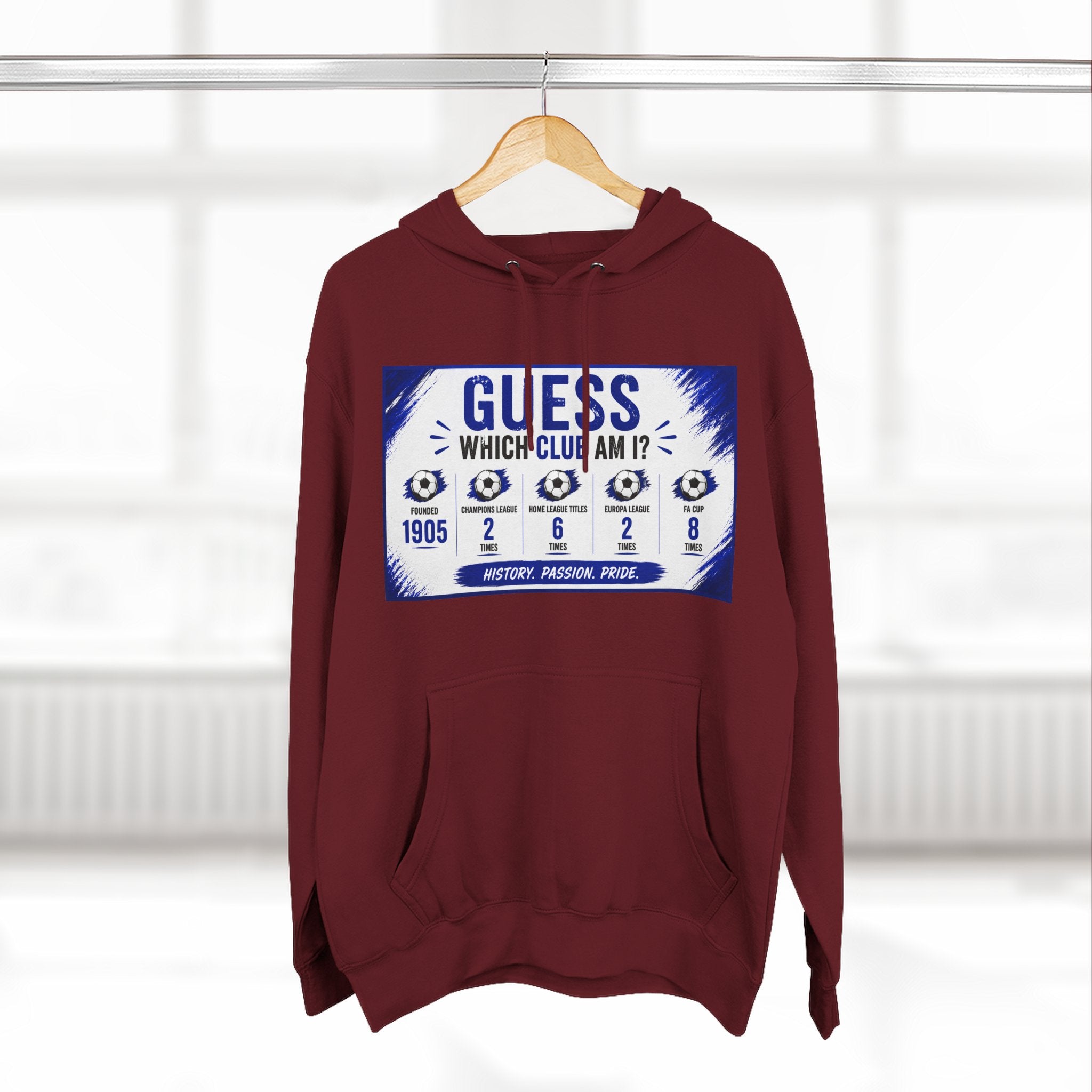 Three-Panel Fleece Hoodie