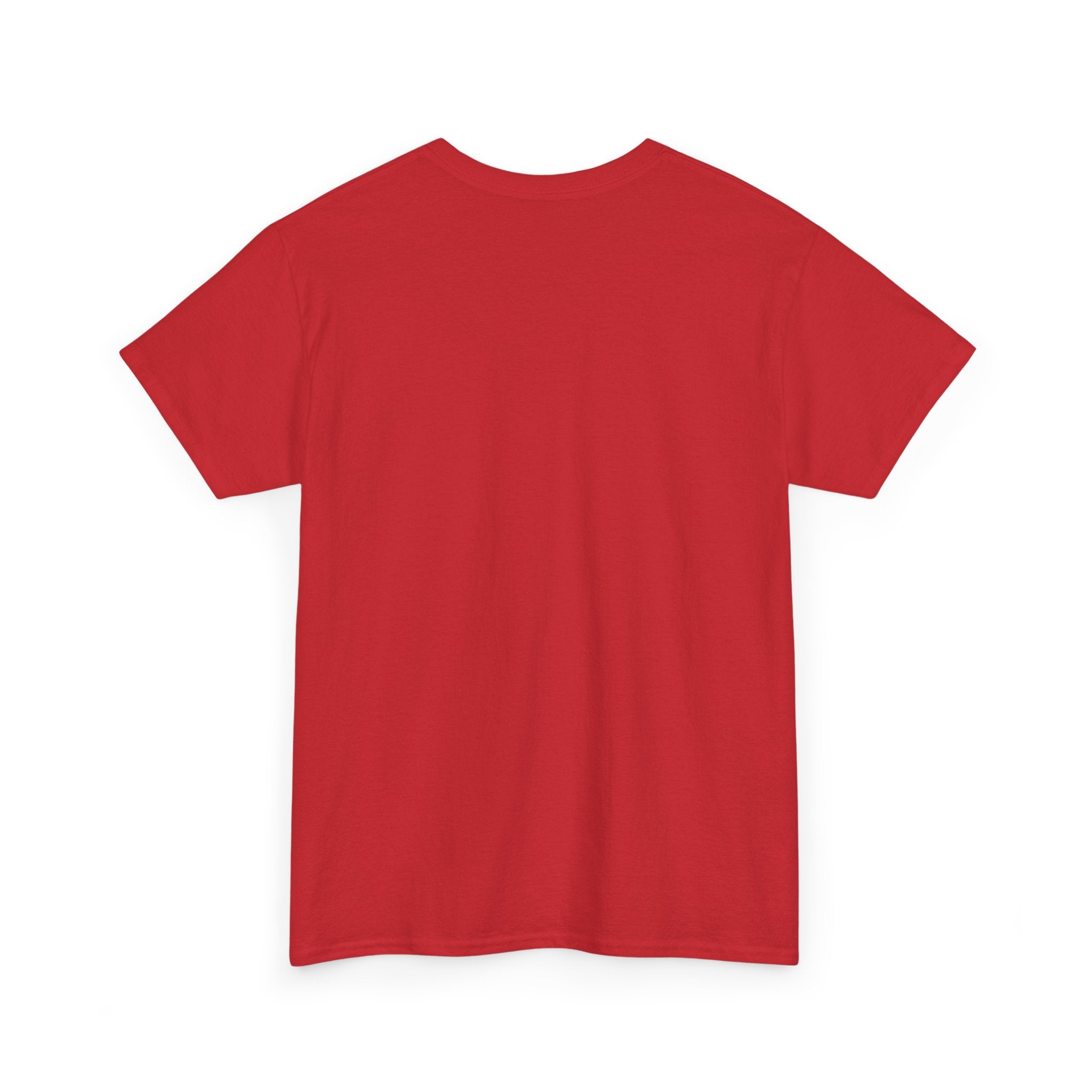 T-Shirt — “These Facts Give It Away… Or Do They?” Infographic Tee